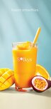Menu Solkys Frozen Smoothies NL