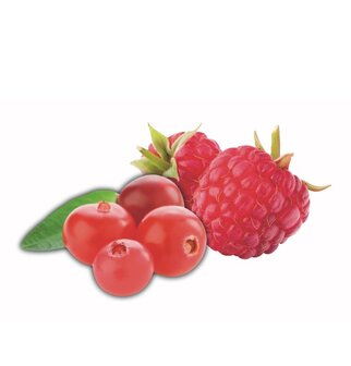 Ice Tea - 09-Wildberries Infusion 18x30gr.