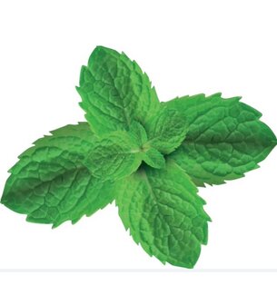 Ice Tea - 07-Green Tea Mint 18x30gr.