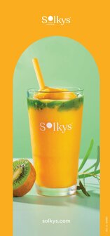 Menu Solkys Frozen Smoothies NL